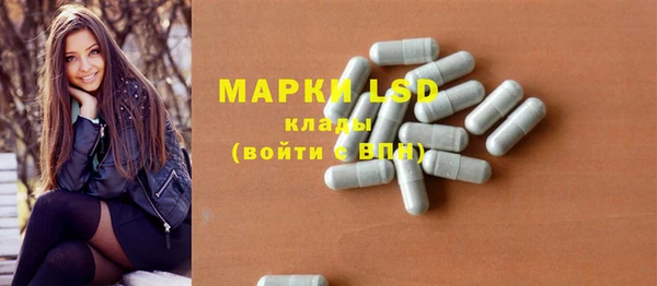 прущие грибы Абаза