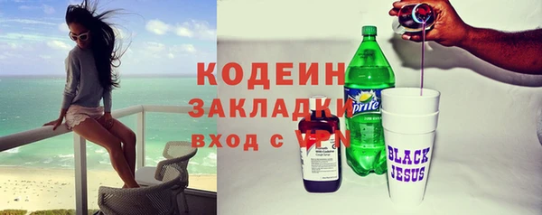 прущие грибы Абаза