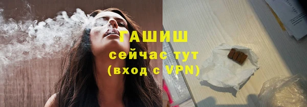 прущие грибы Абаза