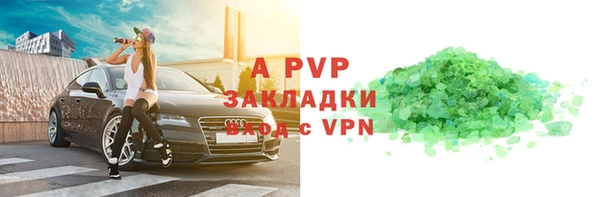 прущие грибы Абаза