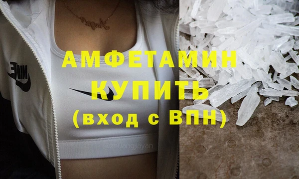 прущие грибы Абаза