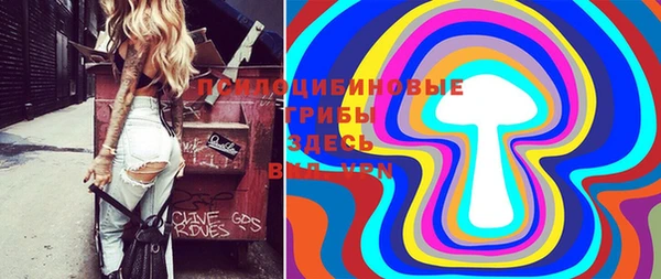 прущие грибы Абаза