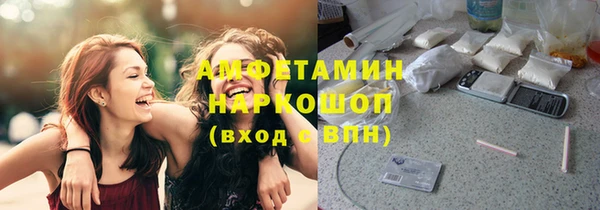 прущие грибы Абаза