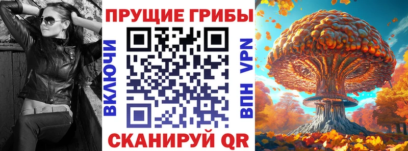 Псилоцибиновые грибы Cubensis Струнино